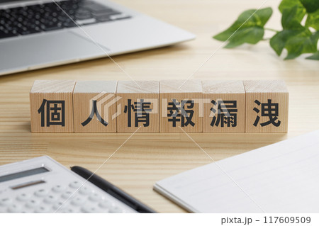 個人情報漏洩と書かれた積み木のブロック 個人情報漏洩と書かれた積み木のブロック 117609509