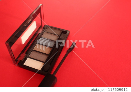 Eye Makeup Eye Shadow And Mascara On Red Background With Space For Text Copyspace Eye Makeup Eye Shadow And Mascara On Red Background With Space For Text Copyspace 117609912