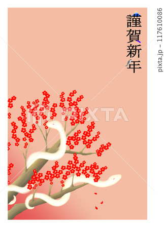 梅とへびの夫婦の年賀状 117610086