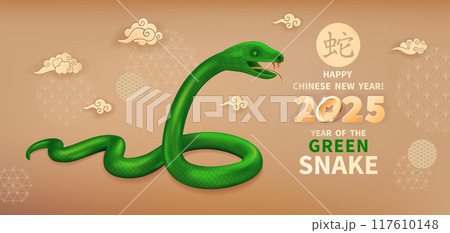 2025 Year of the Snake 24 117610148