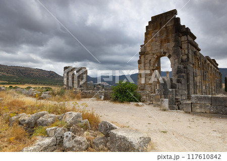Volubilis is a partly-excavated Berber-Roman city in Morocco situated near the city of Meknes 117610842
