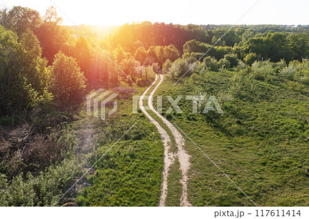 Road through green summer field and forest. Aerial 117611414