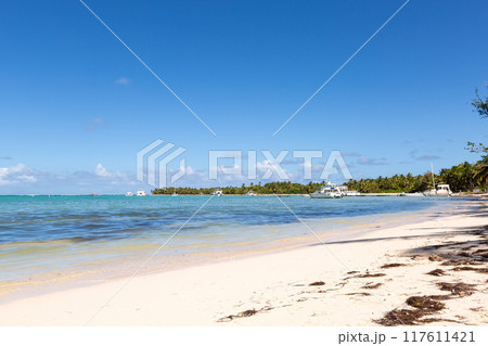 Bavaro beach in sunny day with calm ocean and white  beach, Dominican republic 117611421
