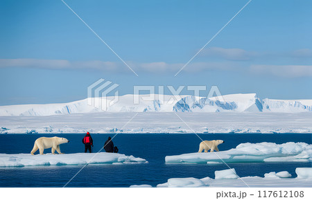 Two Polar Bears Walking On Ice Floes In The Arcticのイラスト素材 [117612108 ...