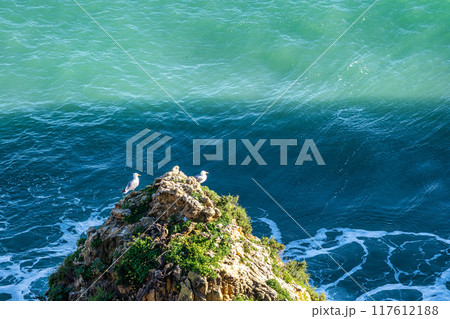 Praia da Marinha Beach among rock islets and cliffs seen from Seven Hanging Valleys Trail, Algarve, Portugal Praia da Marinha Beach among rock islets and cliffs seen from Seven Hanging Valleys Trail, Algarve, Portugal 117612188