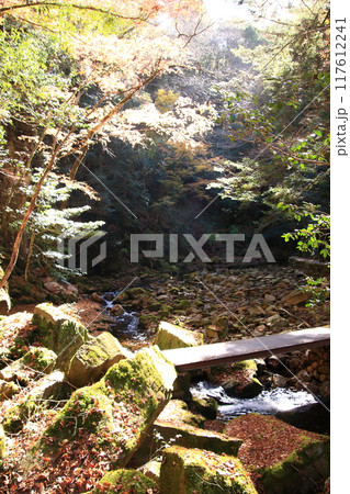 紅葉の名所　赤目四十八滝 117612241