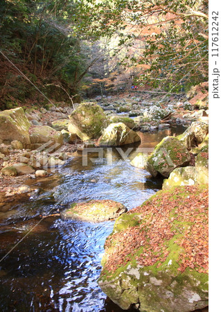紅葉の名所 赤目四十八滝 紅葉の名所 赤目四十八滝 117612242