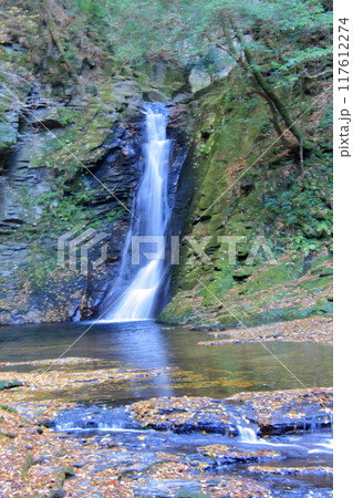 紅葉の名所　赤目四十八滝 117612274