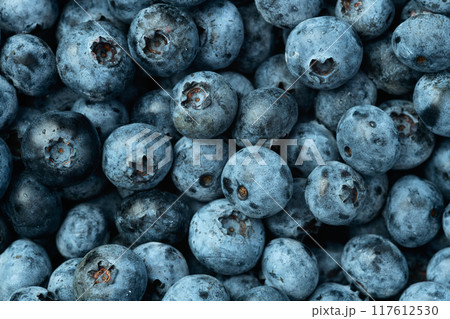 Blueberry photography in a bowl on rustic background 117612530