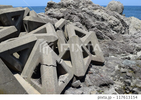 海岸の波消しブロック 海岸の波消しブロック 117613154