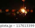 手持ち花火 117613399