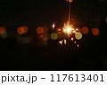 手持ち花火 117613401