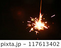 手持ち花火 117613402
