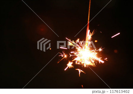 手持ち花火 手持ち花火 117613402