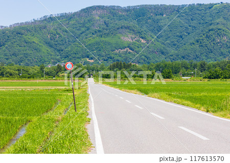 長野県安曇野市 初夏の田園風景 長野県安曇野市 初夏の田園風景 117613570