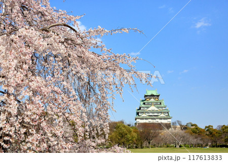 満開　桜の花　染井吉野　背景　大阪城天守閣 117613833