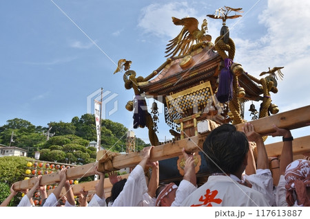真鶴貴船まつりの神輿 神奈川 真鶴貴船まつりの神輿 神奈川 117613887