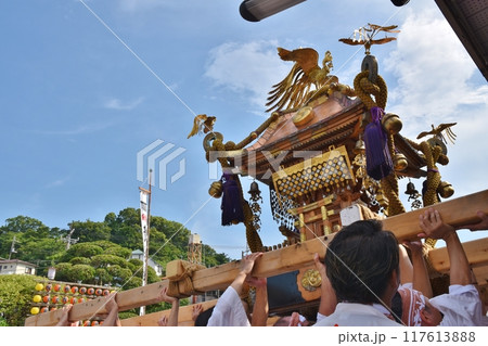 真鶴貴船まつりの神輿 神奈川 真鶴貴船まつりの神輿 神奈川 117613888