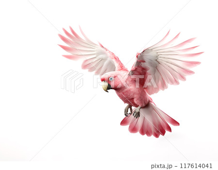 A majestic pink cockatoo soars through the air with its wings outstretched against a clean white background, Birds, Wildlife Animals. 117614041