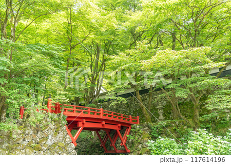 岐阜県揖斐川町 西美濃三十三霊場第一札所の新緑の横蔵寺の赤い橋 岐阜県揖斐川町 西美濃三十三霊場第一札所の新緑の横蔵寺の赤い橋 117614196