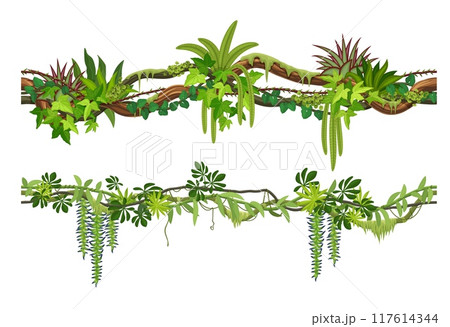 Tropical jungle forest liana branch with climbing roots and leaves. Cartoon vector green foliage spinney with hanging vines. Amazon or african rainforest nature. Tree branches, thicket plants for game 117614344