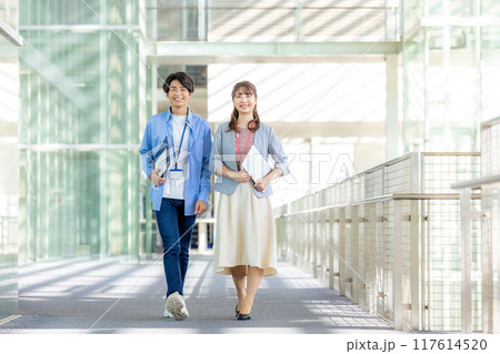 男女　ビジネス　若手 117614520
