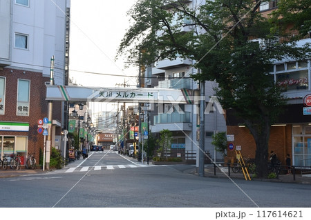 夕暮れの矢川メルカード　東京 117614621