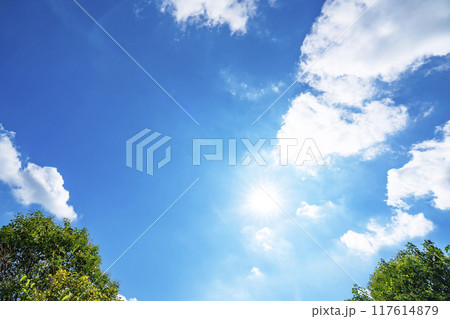 夏の雲と木立と太陽 117614879