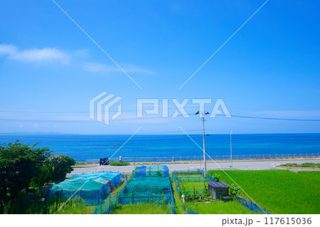 海里より村上市脇川の海岸を望む　田畑　田んぼ　日本海 117615036