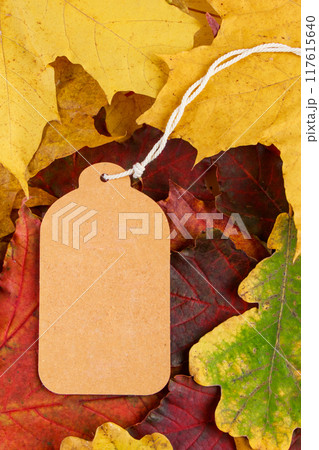 Blank label on colored fallen leaves. Autumn sale and discounts. Thanksgiving and harvest concept. Copy space. Blank label on colored fallen leaves. Autumn sale and discounts. Thanksgiving and harvest concept. Copy space. 117615640