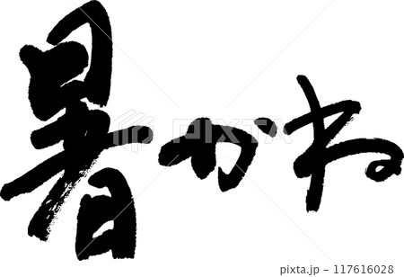 暑い 117616028