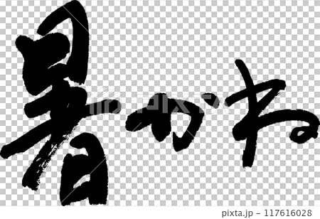暑い 117616028