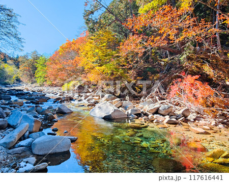 赤沢渓谷(秋) 赤沢渓谷(秋) 117616441