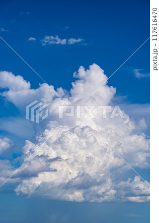 夏の空に湧き上がる積乱雲 タテ位置　d-1 117616470