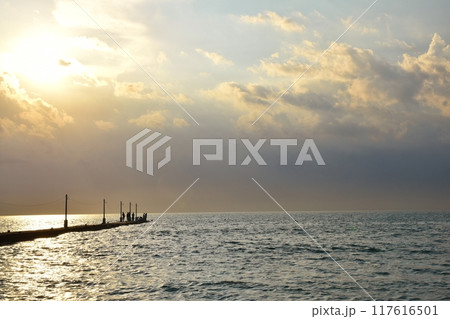 夕暮れの原岡桟橋　千葉 117616501