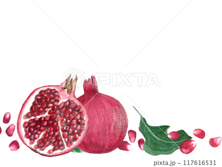Red pomegranate with seeds and green leafs detailed watercolor card isolated on white. Hand drawn realistic fruit banner for fall harvest, culinary designs, home decor, prints. Autumn plant clip art 117616531