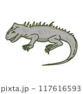 ウミイグアナ 117616593