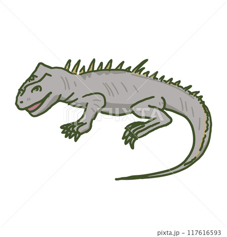 ウミイグアナ 117616593