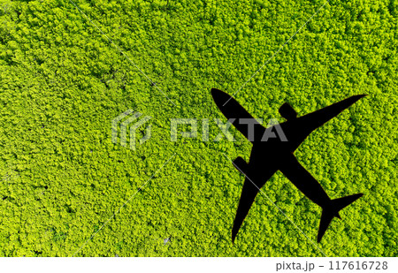 Shadow airplane flying above green mangrove forest. Sustainable fuel. Use biofuel in aviation for sustainable transportation. Reduction carbon emissions. Eco-friendly flight. Aviation sustainability. 117616728