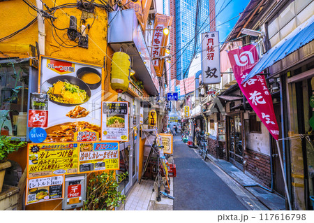 日本の東京都市景観 8月。三軒茶屋駅すぐの飲み屋街「三茶3番街」(三軒茶屋三角地帯)などを望む 日本の東京都市景観 8月。三軒茶屋駅すぐの飲み屋街「三茶3番街」(三軒茶屋三角地帯)などを望む 117616798