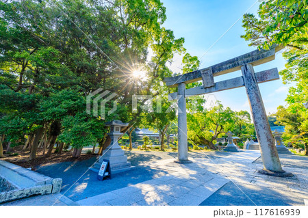 夏の宗像大社 辺津宮 福岡県宗像市 夏の宗像大社 辺津宮 福岡県宗像市 117616939