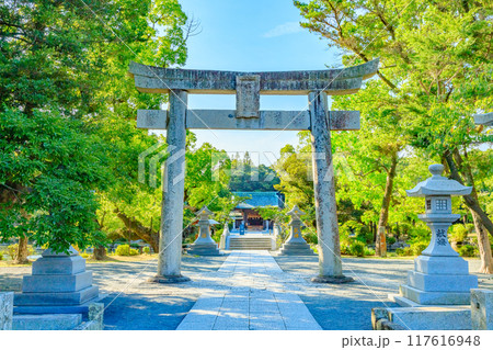 夏の宗像大社 辺津宮 福岡県宗像市 夏の宗像大社 辺津宮 福岡県宗像市 117616948