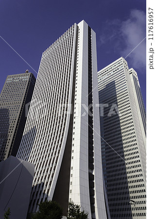 損保ジャパン本社ビルと新宿の高層ビル群 損保ジャパン本社ビルと新宿の高層ビル群 117616957