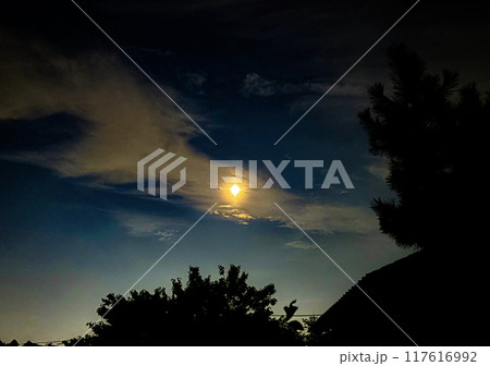 夜空に輝く月に重なる雲 117616992