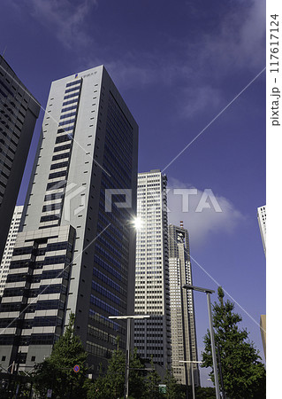 工学院大学と西新宿のビル群 117617124