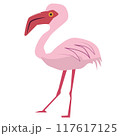 フラミンゴ 117617125