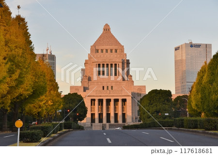 晴れた朝の国会議事堂前の銀杏並木　東京 117618681