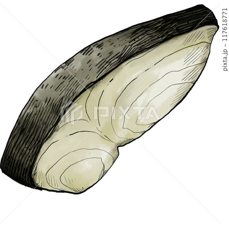 White meat fish fillet steak snapper, halibut cod grill watercolor seafood painting illustration 117618771