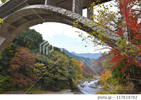 紅葉シーズンの御嶽渓谷 東京 紅葉シーズンの御嶽渓谷 東京 117618782