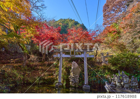 秋の山梨県甲府市の昇仙峡ロープウェイ仙娥滝駅内の黄金池の鳥居 117618988